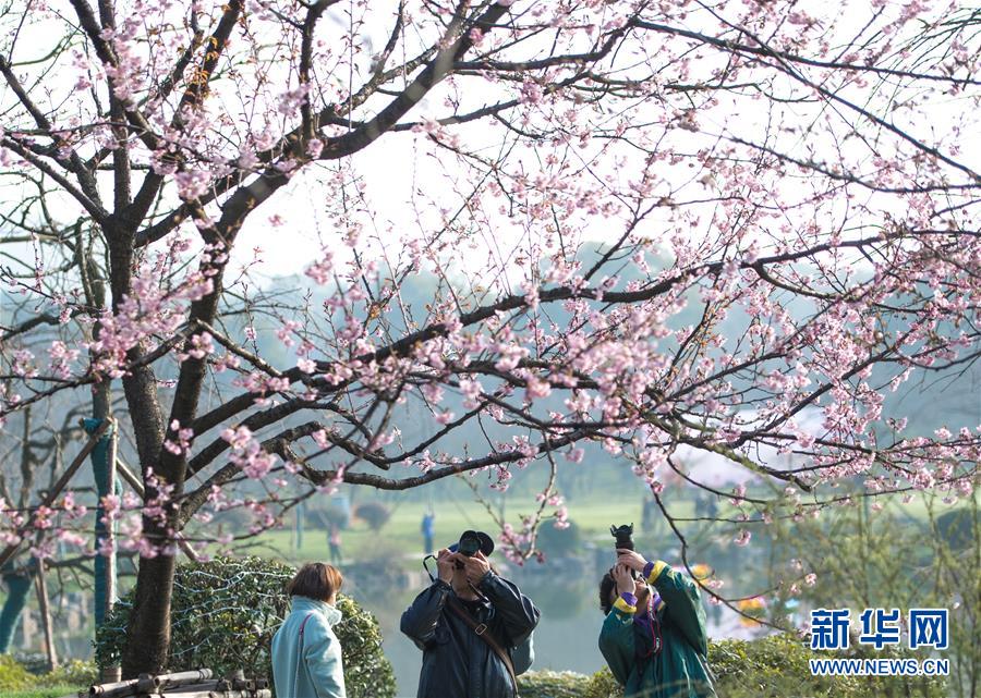 【最新國產在線視頻】加快拓展世界貨運通道 國貨航全貨機成都雙流