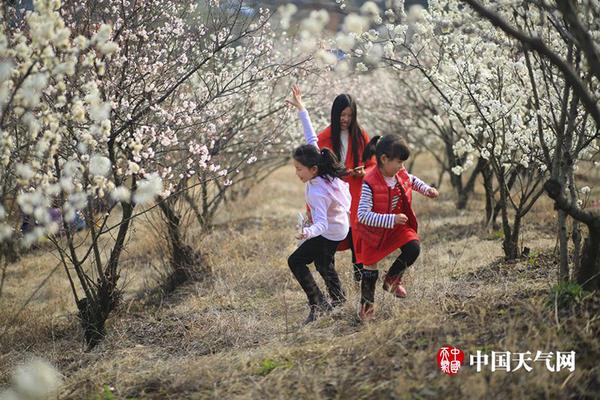 【國產av大片】只有冬夏再無春秋什么梗