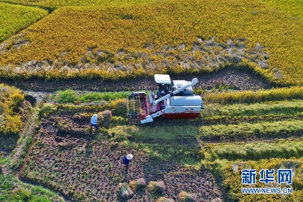 【最新國產(chǎn)在線視頻】全國鐵路春運(yùn)發(fā)送旅客打破1億人次