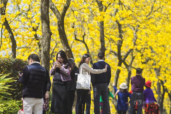 【亞洲國產免費】各地新春阛阓年味正濃 節前消費市場“熱火朝天”