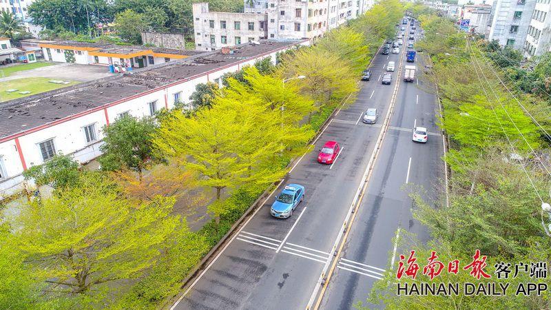 【青青草原國產】上一年跨省異地就醫直接結算超兩億人次