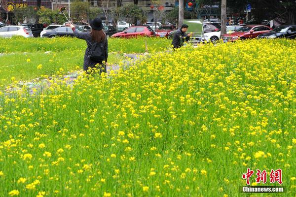 【國產(chǎn)你懂的】陸洪磊、陸慶悠：打破AI流言“黑箱”，需求社會共治