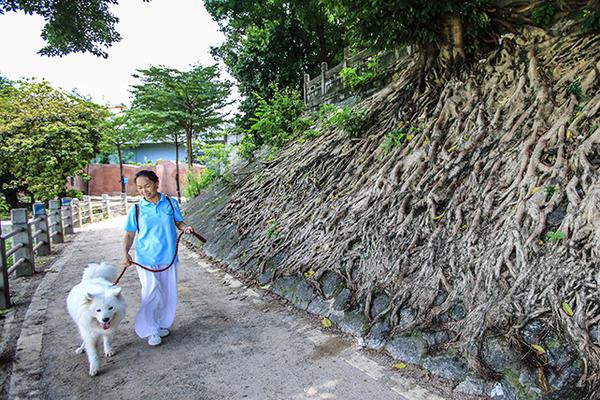 【國產歐美在線視頻】漳州古雷開發區舉行生態環保作業推動會