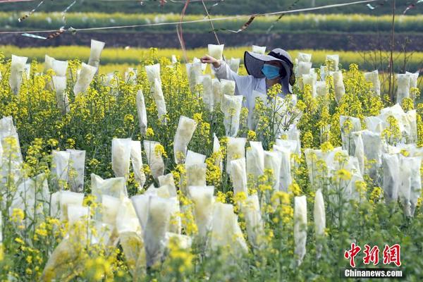 【國(guó)產(chǎn)黃色視頻在線】【光亮藝評(píng)】微短劇2024：取長(zhǎng)補(bǔ)短，向陽(yáng)而生