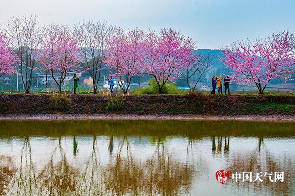 【亞洲國產(chǎn)片】新年消費(fèi)“黃金檔”敞開 順豐同城接連五年攜手多家大牌餐飲推出年味專送