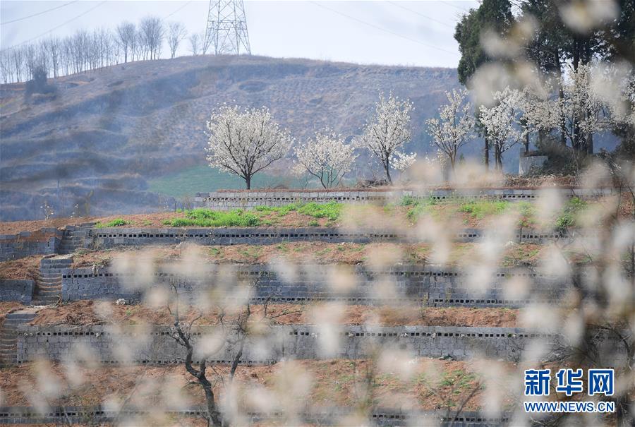 【國產在線第一頁】加速推動國家碳計量中心（福建）建造