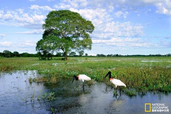 【國產無限資源】河源文旅露臉馬德里國際旅游展