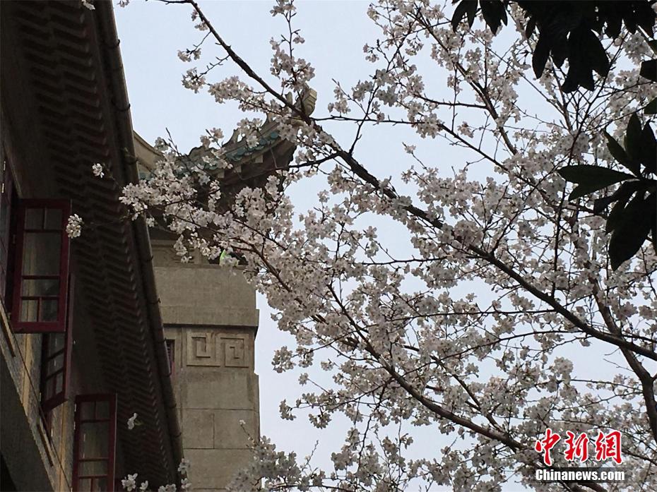 【歐美日韓亞洲國產】港股海運股逆勢拉升，中遠海能、秦港股份漲近5%