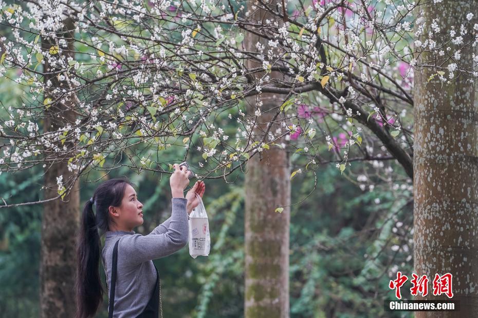 【你懂的國(guó)產(chǎn)】蘇丹武裝部隊(duì)說(shuō)打死40多名快速援助部隊(duì)人員