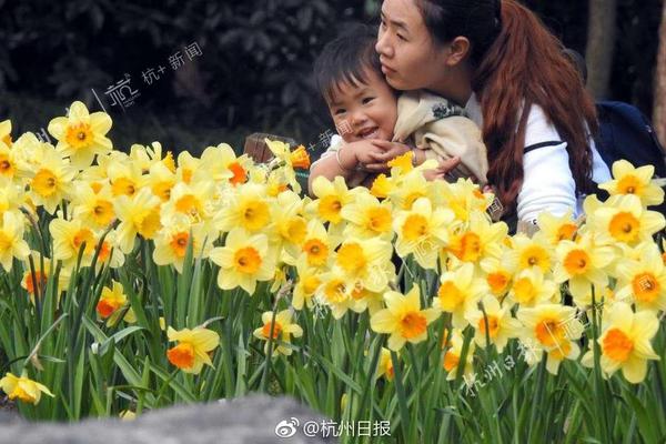 【國產成人影視】聾啞大嫂新年省親記