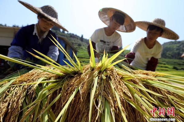 【國產調教視頻】新年“睡欠好”？專家提示假日也要堅持規則作息